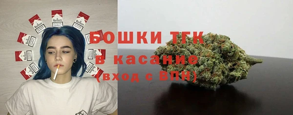 мяу мяу мука Белокуриха