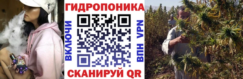 где продают   мега зеркало  Каннабис VHQ  Сусуман 